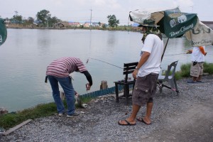 Pla Kapong on popper and fly combo