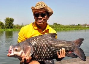 Carp1