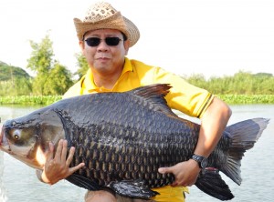 Carp3b