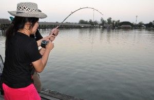 Fish On! - Angler of the Day