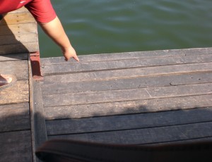 Rod Gone Into Water! - Now you don't!
